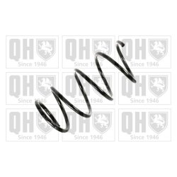 Suspension Spring QUINTON HAZELL QCS7791 OE Ref 6025308377