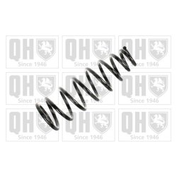 Suspension Spring QUINTON HAZELL QCS7794 OE Ref MR235554