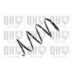 Suspension Spring QUINTON HAZELL QCS7826 OE Ref 6025304378
