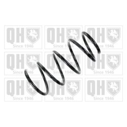 Suspension Spring QUINTON HAZELL QCS7845 OE Ref 31336768809