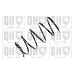 Suspension Spring QUINTON HAZELL QCS7850 OE Ref 31331090763