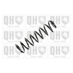 Suspension Spring QUINTON HAZELL QCS7862 OE Ref 2113210404