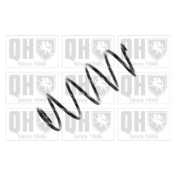 Suspension Spring QUINTON HAZELL QCS7876 OE Ref 6Q0411105AD