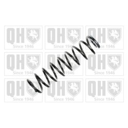 Suspension Spring QUINTON HAZELL QCS7893 OE Ref 2113211304