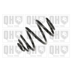 Suspension Spring QUINTON HAZELL QCS7895 OE Ref 424057