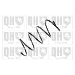 Suspension Spring QUINTON HAZELL QCS7902 OE Ref 2033210504