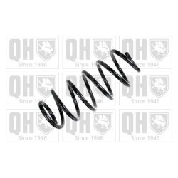 Suspension Spring QUINTON HAZELL QCS7928 OE Ref 1K0411105EH