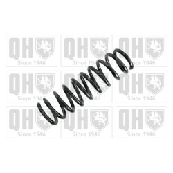 Suspension Spring QUINTON HAZELL QCS7963 OE Ref 553502Y100