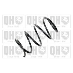 Suspension Spring QUINTON HAZELL QCS7980 OE Ref 31336768807 QUINTON HAZELL