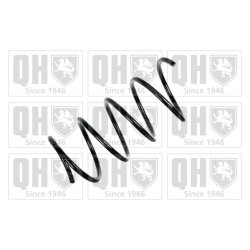 Suspension Spring QUINTON HAZELL QCS7995 OE Ref 2033214804 QUINTON HAZELL