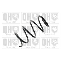 Suspension Spring QUINTON HAZELL QCS8007 OE Ref 31336768810
