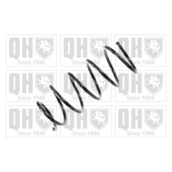 Suspension Spring QUINTON HAZELL QCS8013 OE Ref 7700800993
