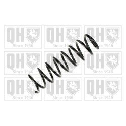 Suspension Spring QUINTON HAZELL QCS8020 OE Ref 33536761220