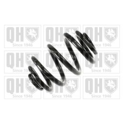 Suspension Spring QUINTON HAZELL QCS8021 OE Ref 33536750758