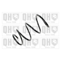Suspension Spring QUINTON HAZELL QCS8028 OE Ref 481311N550