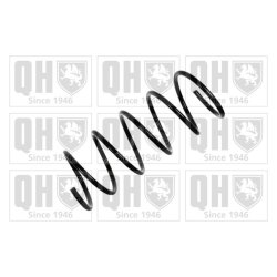 Suspension Spring QUINTON HAZELL QCS8035 OE Ref 5002S8