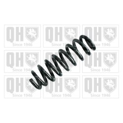Suspension Spring QUINTON HAZELL QCS8041 OE Ref 33536767349