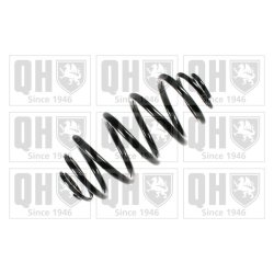 Suspension Spring QUINTON HAZELL QCS8046 OE Ref 6393240504