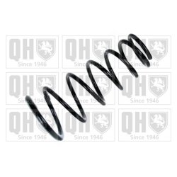 Suspension Spring QUINTON HAZELL QCS8049 OE Ref 553302F100