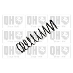Suspension Spring QUINTON HAZELL QCS8053 OE Ref 4603210604 QUINTON HAZELL