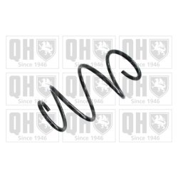 Suspension Spring QUINTON HAZELL QCS8055 OE Ref 31336851920