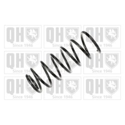 Suspension Spring QUINTON HAZELL QCS8056 OE Ref 191411105B952