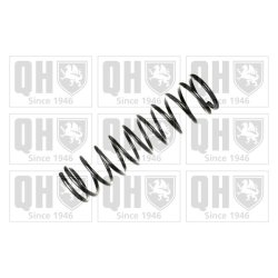 Suspension Spring QUINTON HAZELL QCS8061 OE Ref 4603210204