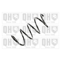 Suspension Spring QUINTON HAZELL QCS8065 OE Ref 8200041580