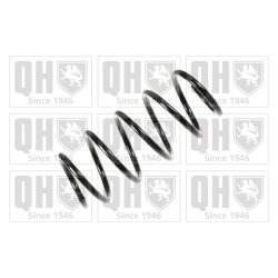 Suspension Spring QUINTON HAZELL QCS8068 OE Ref 9196103
