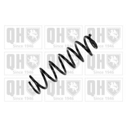 Suspension Spring QUINTON HAZELL QCS8078 OE Ref 4813150070