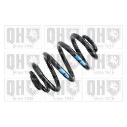 Suspension Spring QUINTON HAZELL QCS8087 OE Ref 33536751233