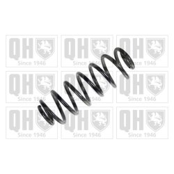 Suspension Spring QUINTON HAZELL QCS8119 OE Ref 1K0511115HE