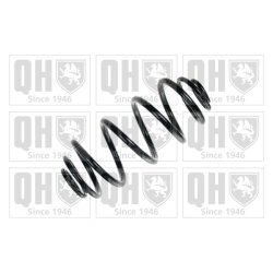 Suspension Spring QUINTON HAZELL QCS8125 OE Ref 51751800