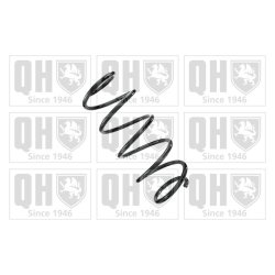Suspension Spring QUINTON HAZELL QCS8129 OE Ref 6Q0411105AC