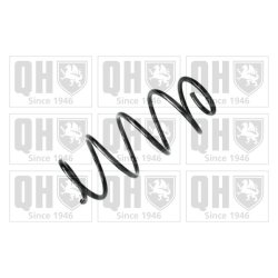Suspension Spring QUINTON HAZELL QCS8130 OE Ref 50704501 QUINTON HAZELL