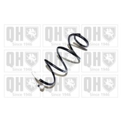 Suspension Spring QUINTON HAZELL QCS8142 OE Ref 540101973R