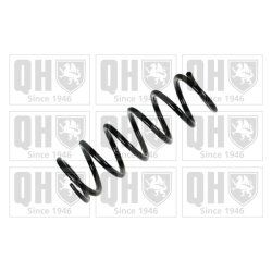 Suspension Spring QUINTON HAZELL QCS8147 OE Ref 4813153020