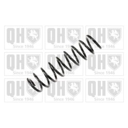 Suspension Spring QUINTON HAZELL QCS8149 OE Ref 33531093633 QUINTON HAZELL