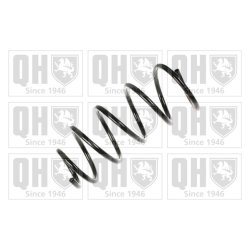 Suspension Spring QUINTON HAZELL QCS8153 OE Ref 6N0411105P