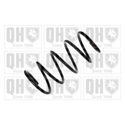 Suspension Spring QUINTON HAZELL QCS8164 OE Ref 31331092656