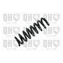 Suspension Spring QUINTON HAZELL QCS8165 OE Ref 33536851933