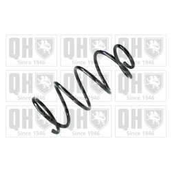Suspension Spring QUINTON HAZELL QCS8168 OE Ref 30666204