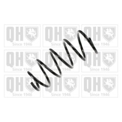 Suspension Spring QUINTON HAZELL QCS8172 OE Ref 6N0411105T