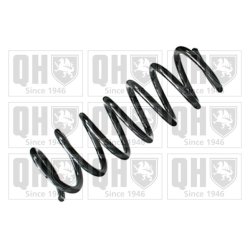 Suspension Spring QUINTON HAZELL QCS8173 OE Ref CG2528011A