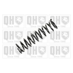 Suspension Spring QUINTON HAZELL QCS8177 OE Ref 2013212004