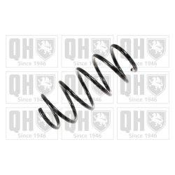 Suspension Spring QUINTON HAZELL QCS8185 OE Ref 312740