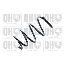 Suspension Spring QUINTON HAZELL QCS8187 OE Ref 31333412732