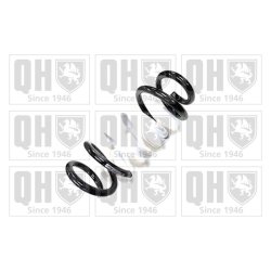 Suspension Spring QUINTON HAZELL QCS8191 OE Ref 4823142181
