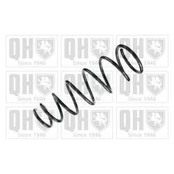Suspension Spring QUINTON HAZELL QCS8192 OE Ref N13328011 QUINTON HAZELL