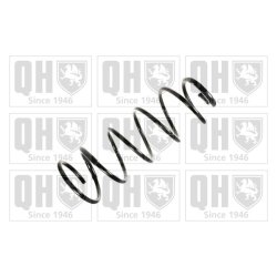 Suspension Spring QUINTON HAZELL QCS8206 OE Ref 5002V3